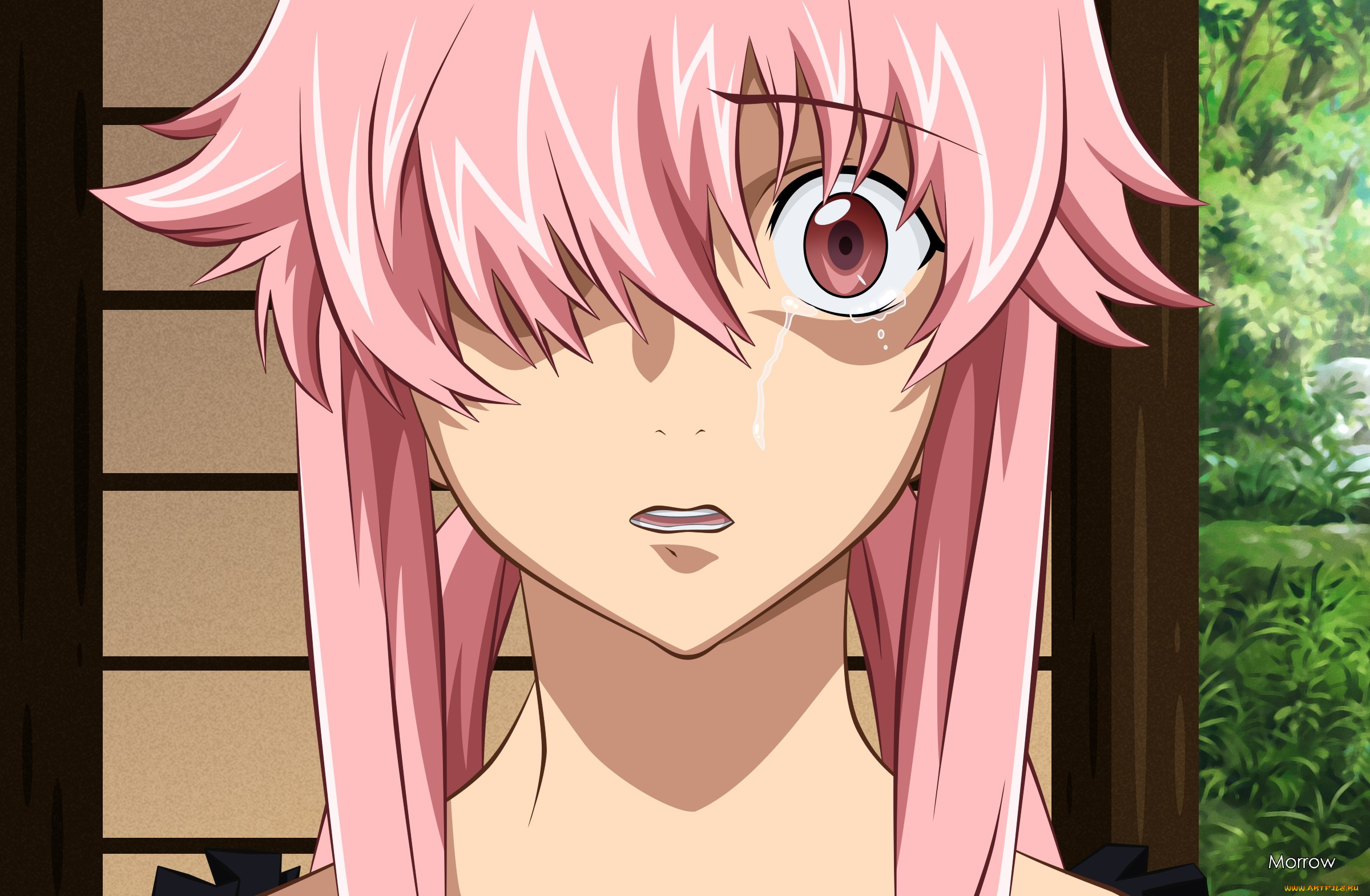 , mirai nikki, 